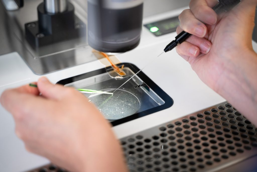 What is blastocyst culture? An advanced IVF approach to support your treatment journey